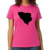 Softstyle™ midweight women’s t-shirt Thumbnail