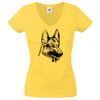 Lady-fit Valueweight V-Neck T-Shirt Thumbnail